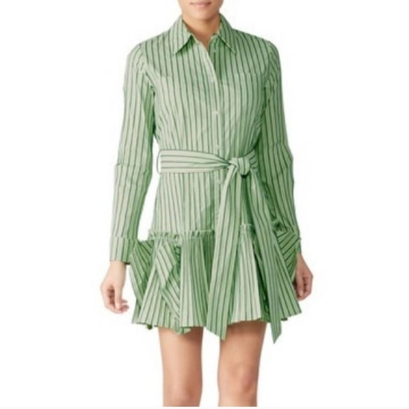 ALEXIS Phaedra Button-down Green Stripe Shirt Dress - Picture 1 of 9